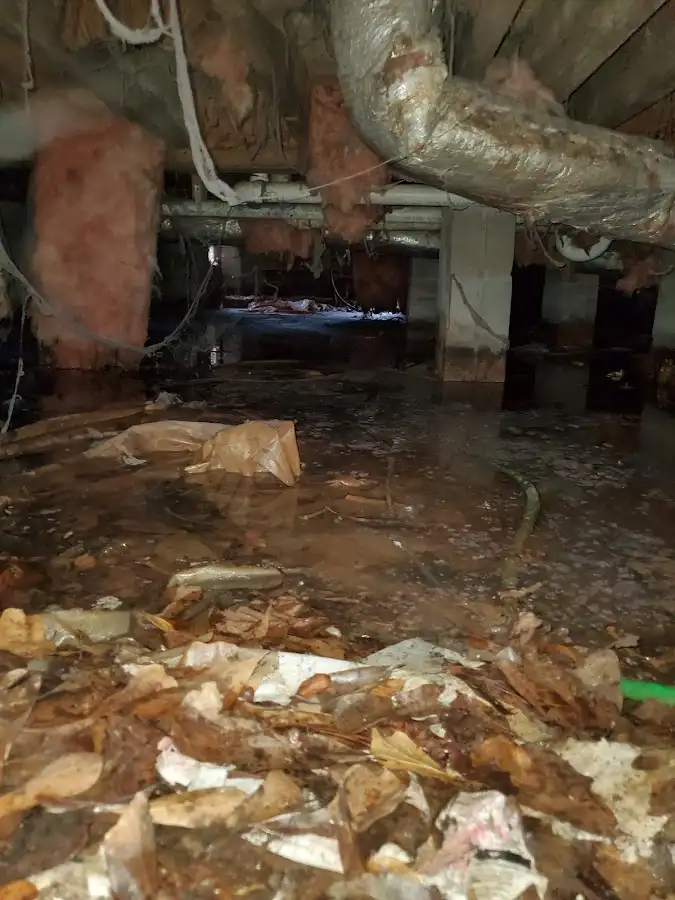 Crawl space flood assessment for Leak Detection & Repair in Hamilton