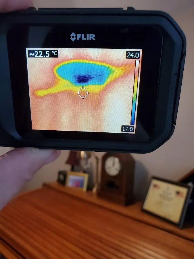Thermal imaging inspection for water damage in Hamilton