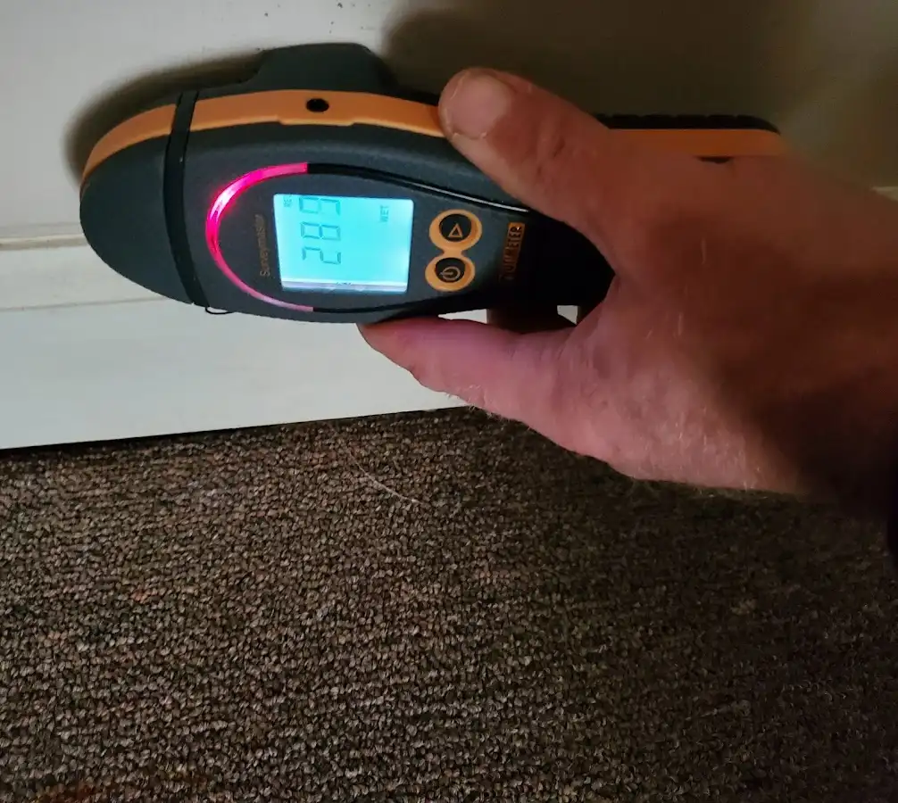 Moisture detection at baseboard during Mold Inspection & Testing in Hamilton